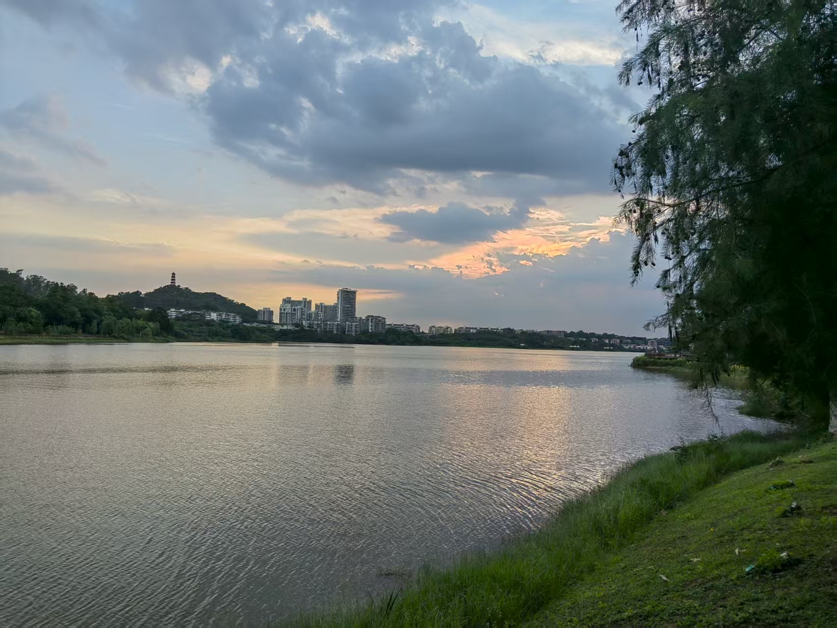 洛谷P3953 [NOIP 2017 提高组] 逛公园